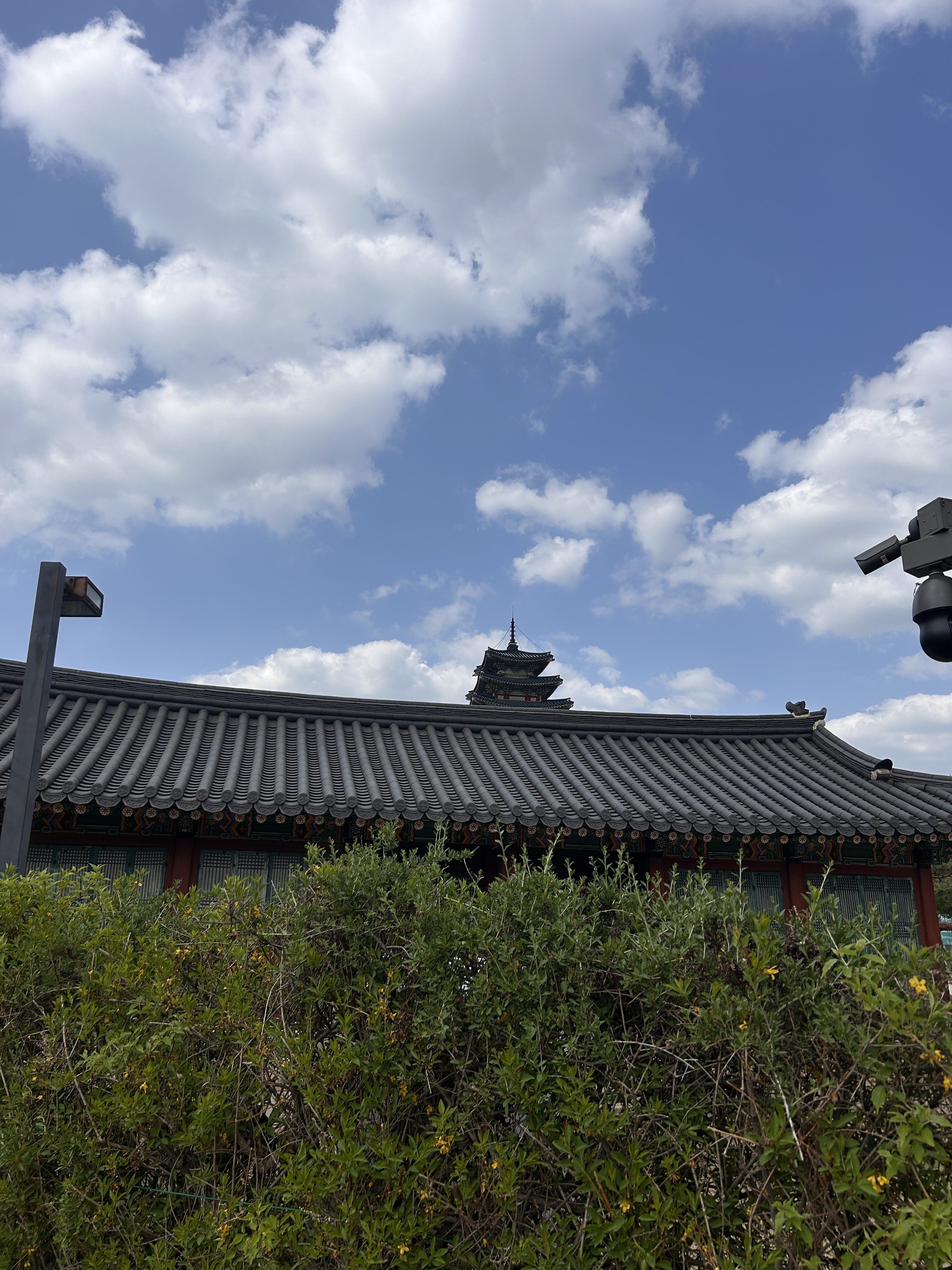 A view of a traditional Asian-style building with a curved tiled roof and ornate architecture is partially obscured by lush green bushes.
