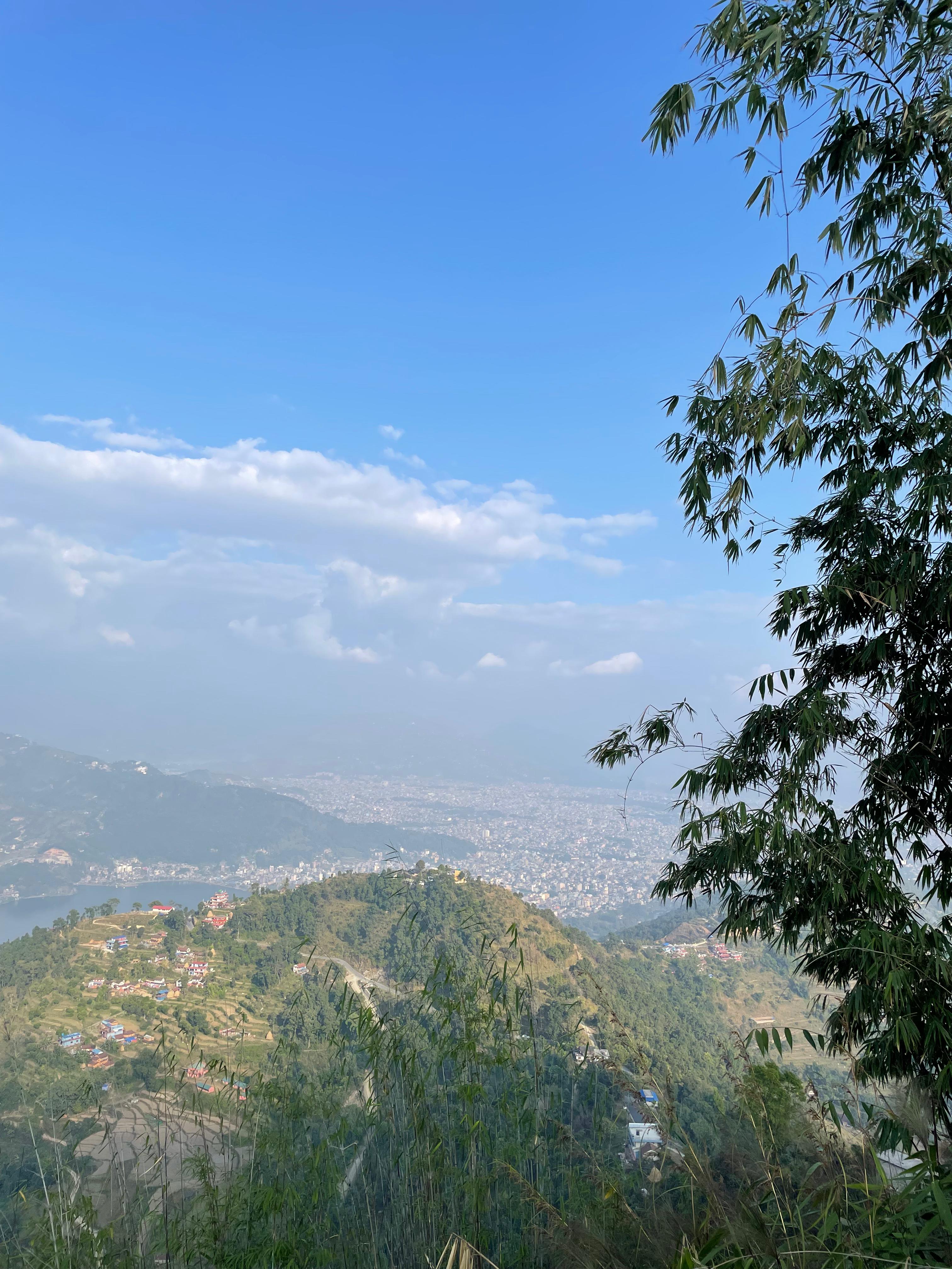 Scenic view of a hilly landscape with sparse vegetation and a distant city visible beneath a clear blue sky. A tree with green leaves frames the right side of the image.