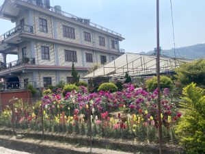 A multi-story brick building with several windows and balconies is situated behind a lush garden filled with vibrant flowers in various colors, surrounded by a wire fence.
