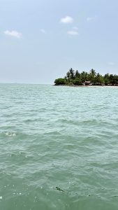 A tranquil coastal scene with light green ocean water in the foreground and a small tropical island in the distance. The island is lined with palm trees and a few small structures, under a bright, lightly clouded blue sky.