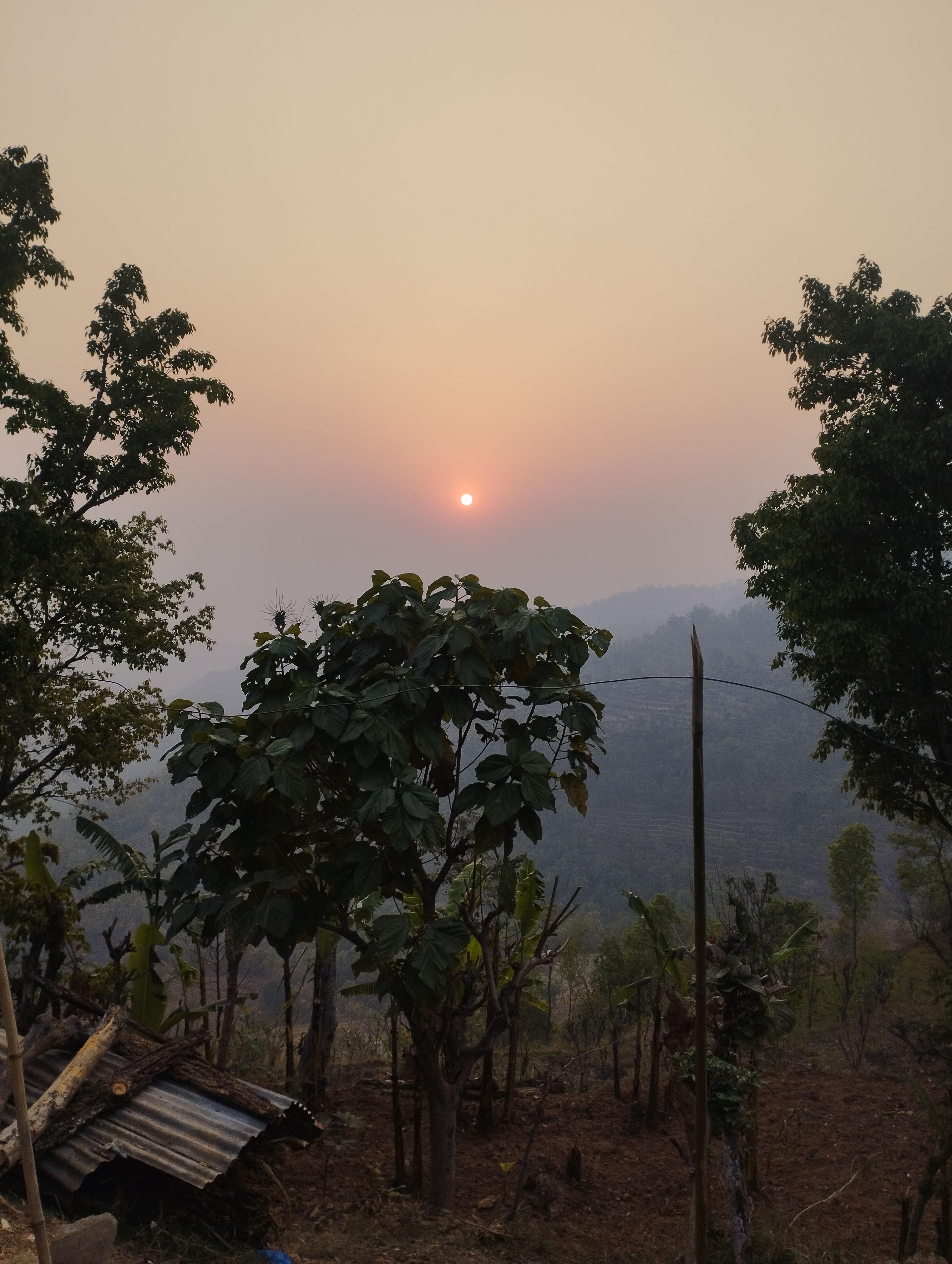 A serene landscape with the sun setting in a hazy sky, surrounded by silhouettes of trees and a hilly terrain in the background. A small structure with a corrugated metal roof is visible on the left.