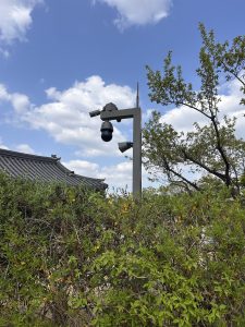 A tall, gray surveillance camera pole stands amidst a lush green hedge with small yellow flowers. 