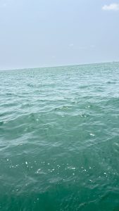 A serene view of calm ocean water, characterized by gentle waves reflecting sunlight, with a clear blue sky in the background.