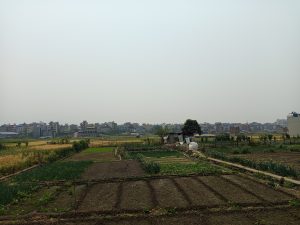 A rural landscape featuring agricultural fields in the foreground, with patches of green crops and brown soil. In the middle distance, there are small farm buildings, and scattered trees. In the background, a line of low-rise urban buildings marks the horizon under a clear sky.