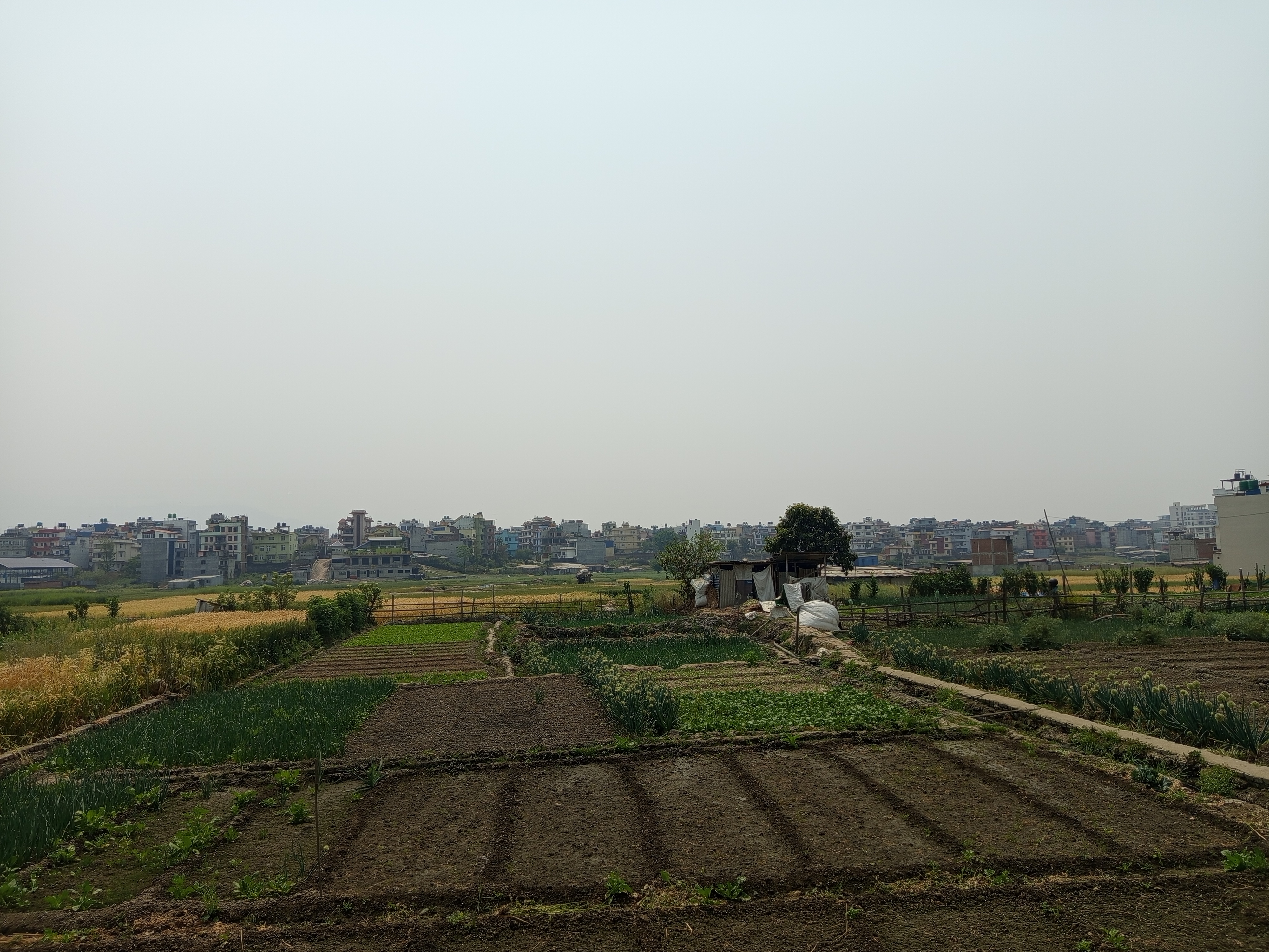A rural landscape featuring agricultural fields in the foreground, with patches of green crops and brown soil. In the middle distance, there are small farm buildings, and scattered trees. In the background, a line of low-rise urban buildings marks the horizon under a clear sky.