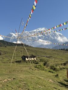 Traditional swing with mountain background.