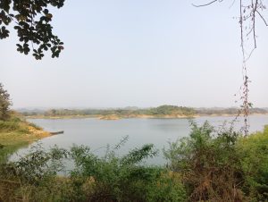 A tranquil landscape featuring a calm body of water surrounded by lush greenery and distant hills under a clear sky. In the foreground, there are various shrubs and plants, while a small boat is moored near the shoreline on the left side.