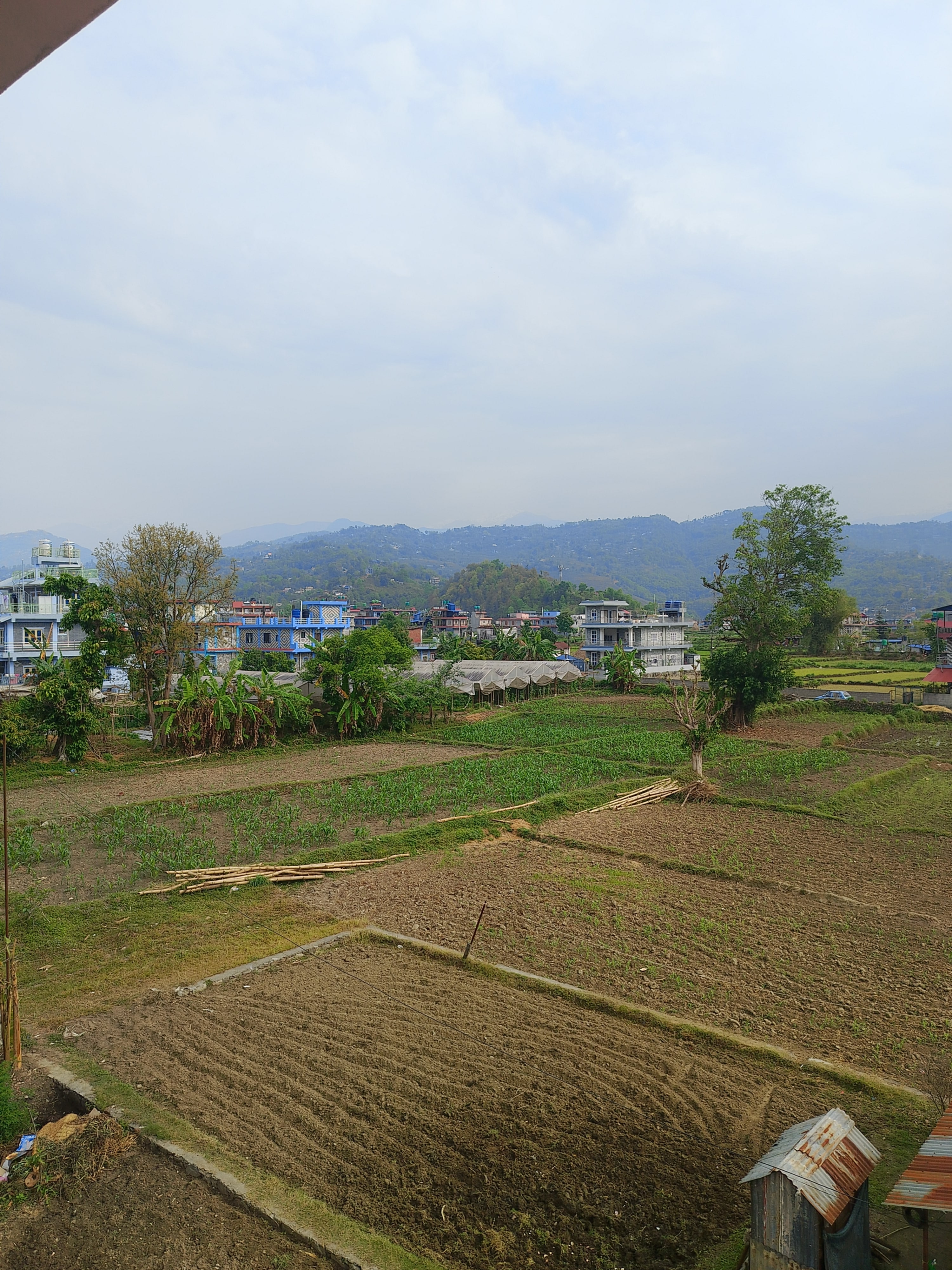View of agricultural fields with patches of green crops, bordered by small buildings and trees. In the background, there are rolling hills under a cloudy sky.