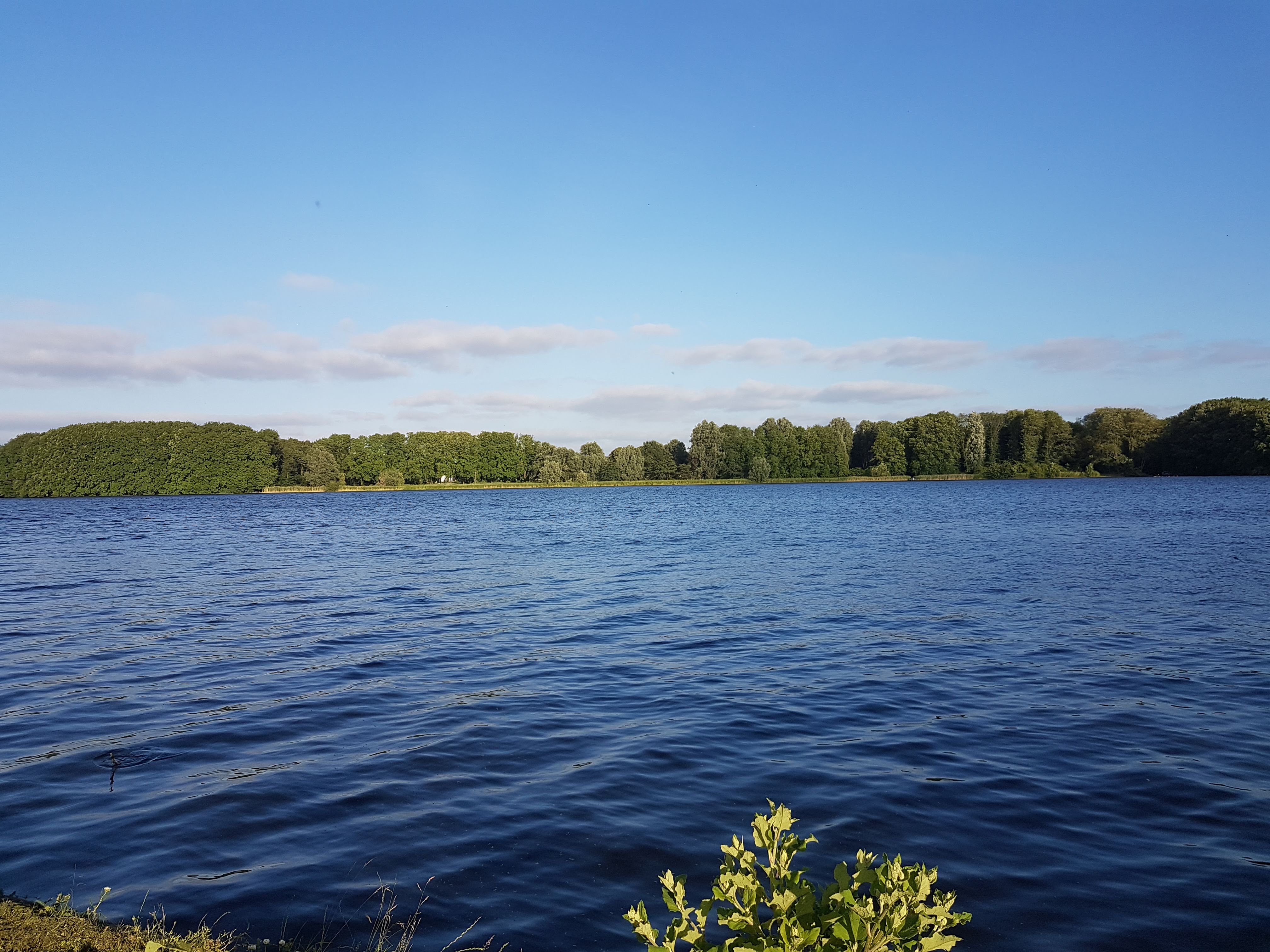 A serene ocean with calm blue water under a clear blue sky.