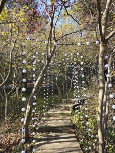 A wooden pathway in a garden is surrounded by trees adorned with strings of white round lights, creating a whimsical atmosphere. The ground is covered with fallen leaves, and the trees have sparse foliage, indicating a season of transition.
