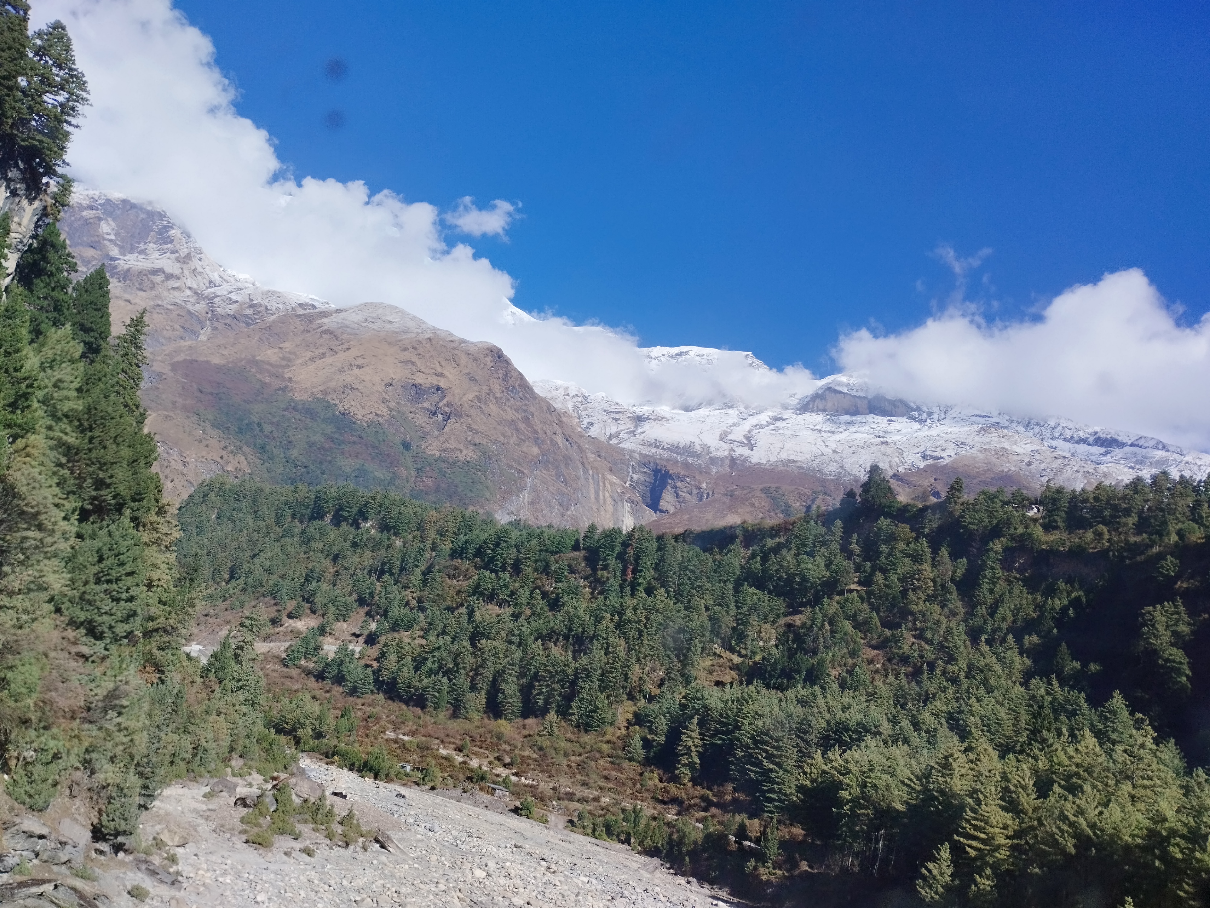 A mountainous landscape featuring snow-capped peaks under a clear blue sky, with dense green pine forests and rocky terrain in the foreground. Fluffy clouds hover above the mountains.