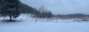 A field in winter, covered in snow. Snow is falling, and there are scrub trees in the distance, and a large evergreen on the left.