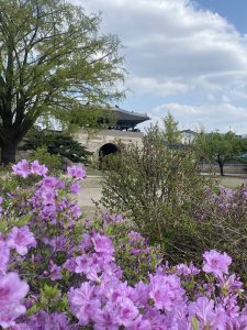 In the foreground, there is a vibrant display of purple azalea flowers. Behind them, a lush green tree provides shade, while further back, a traditional Asian-styled building with a curved roof is visible, partially obscured by the surrounding foliage.
