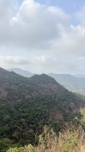A scenic view of a lush green mountain range under a partly cloudy sky. The foreground shows some dry, sparse vegetation, while the midground and background display densely forested hills and valleys, gradually fading into the misty distance.