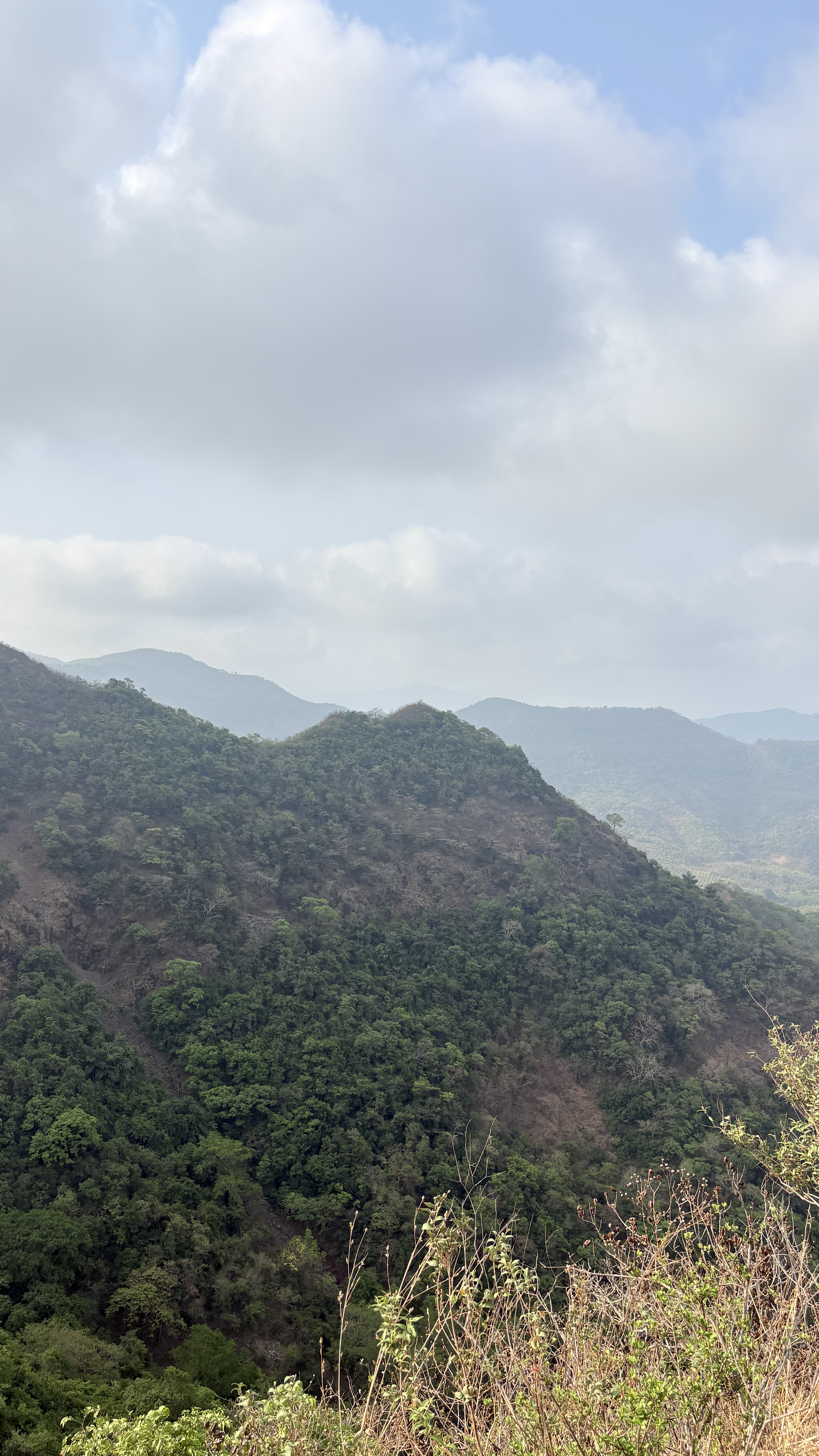 A scenic view of a lush green mountain range under a partly cloudy sky. The foreground shows some dry, sparse vegetation, while the midground and background display densely forested hills and valleys, gradually fading into the misty distance.