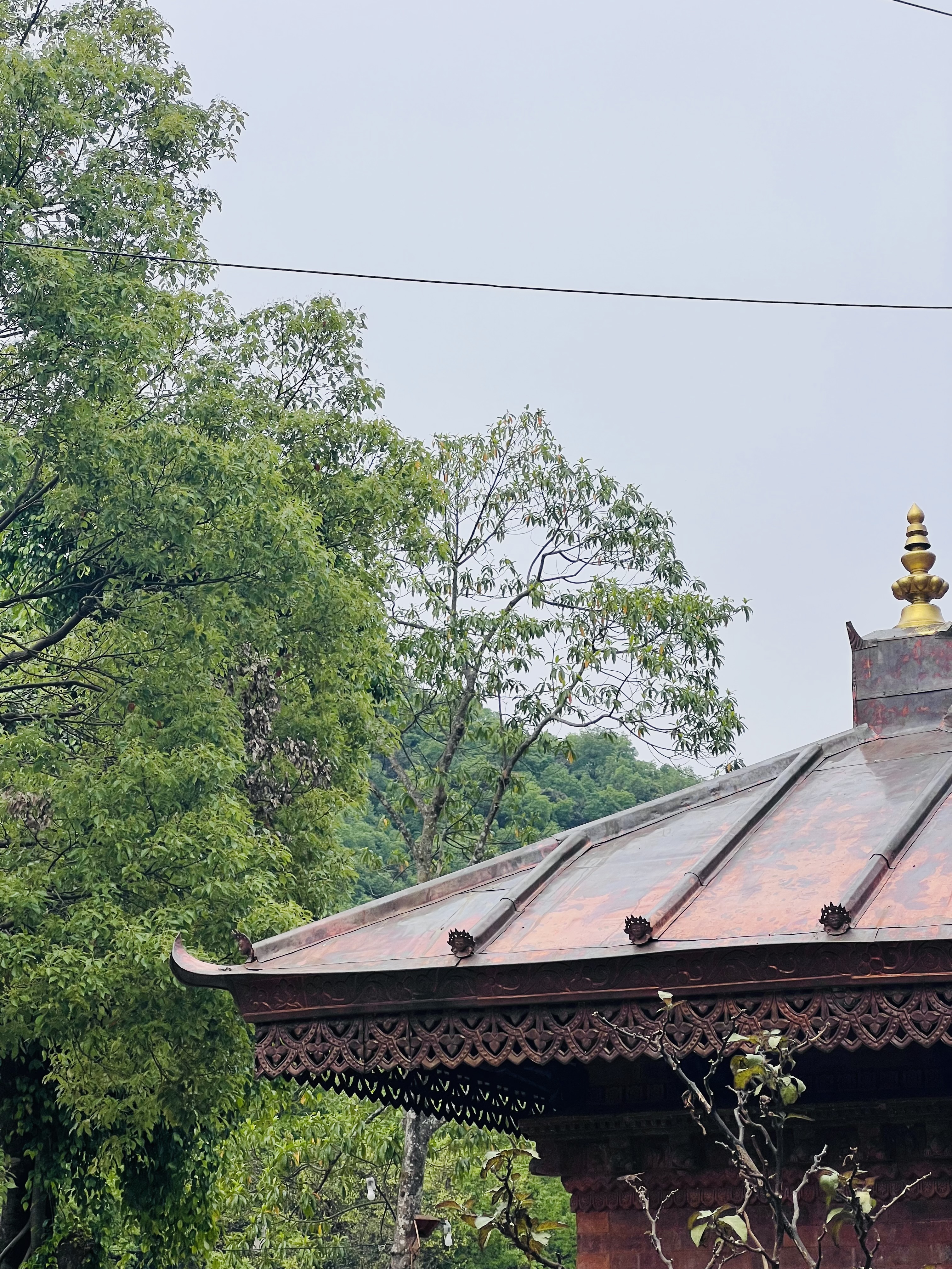 A traditional building with an ornate, decorative roof and a gilded spire is partially visible, surrounded by lush green trees and foliage. The sky is overcast.