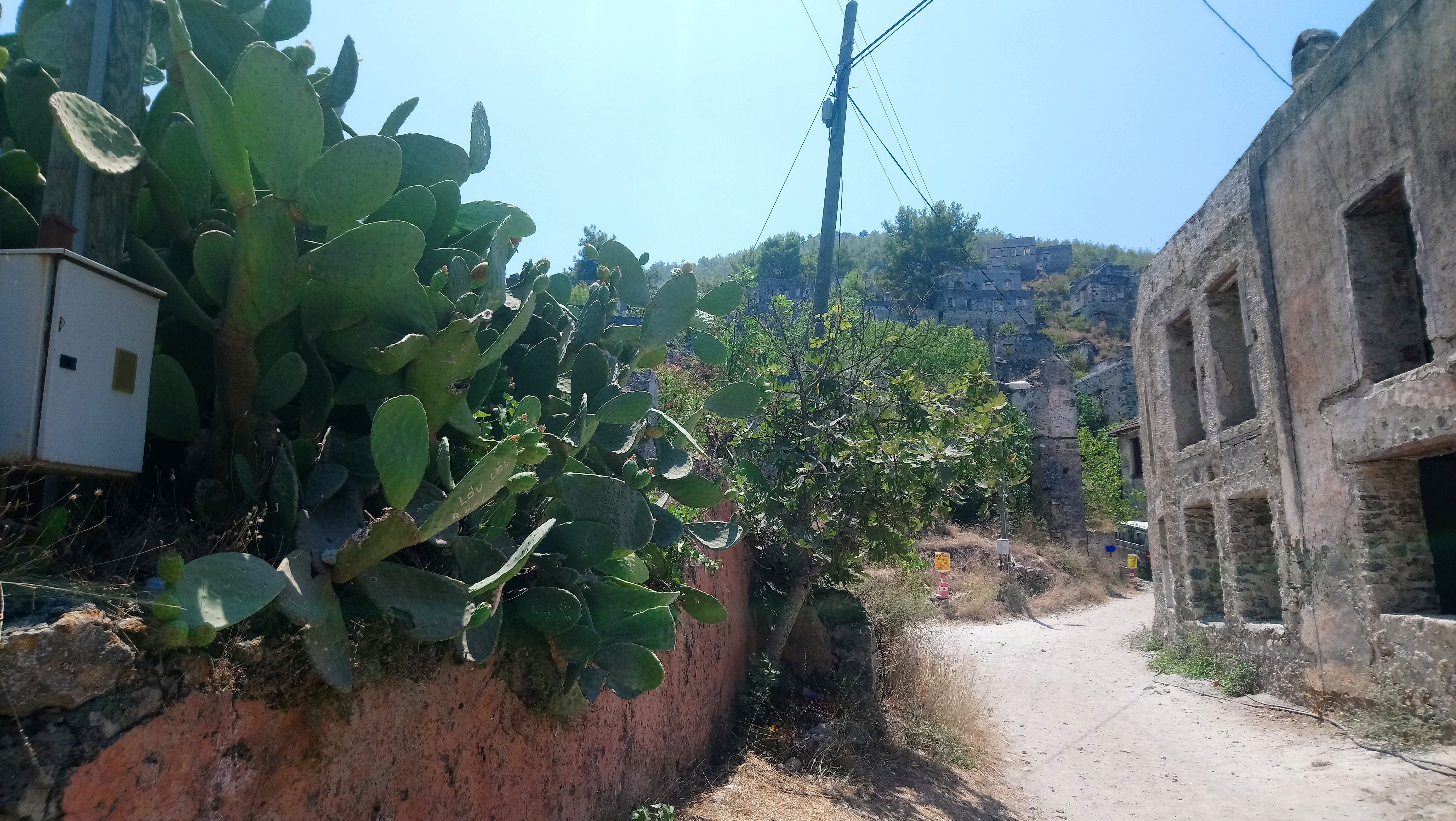 A dusty path leads through an overgrown area featuring a large cactus plant on the left and a weathered, partially ruined building to the right.