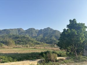 A scenic landscape featuring lush green hills under a clear blue sky. In the foreground, there are open fields with patches of grass and a large tree on the right side.