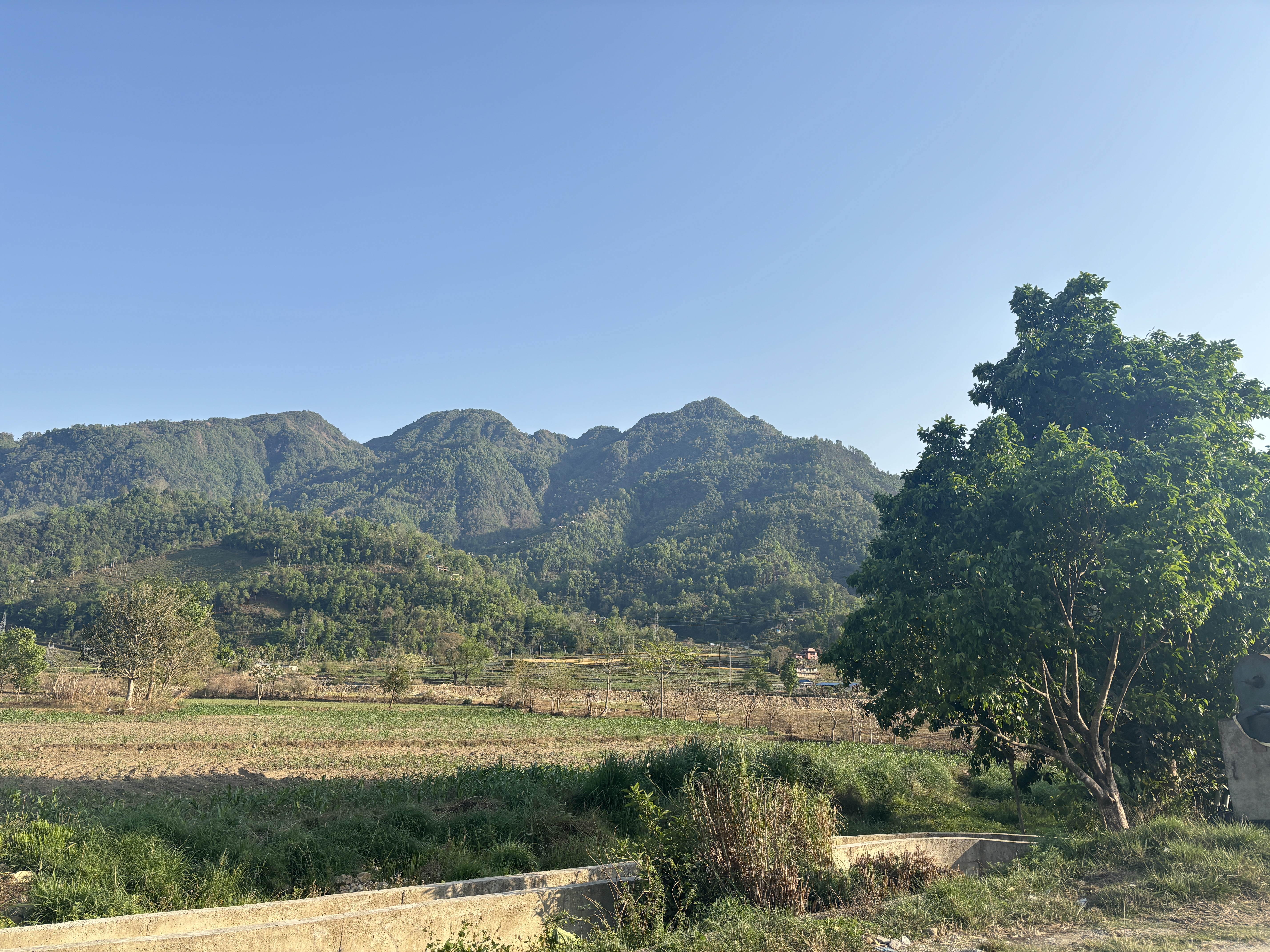 A scenic landscape featuring lush green hills under a clear blue sky. In the foreground, there are open fields with patches of grass and a large tree on the right side.