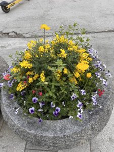 A round stone planter filled with a vibrant display of flowers, primarily featuring yellow blooms and purple pansies.