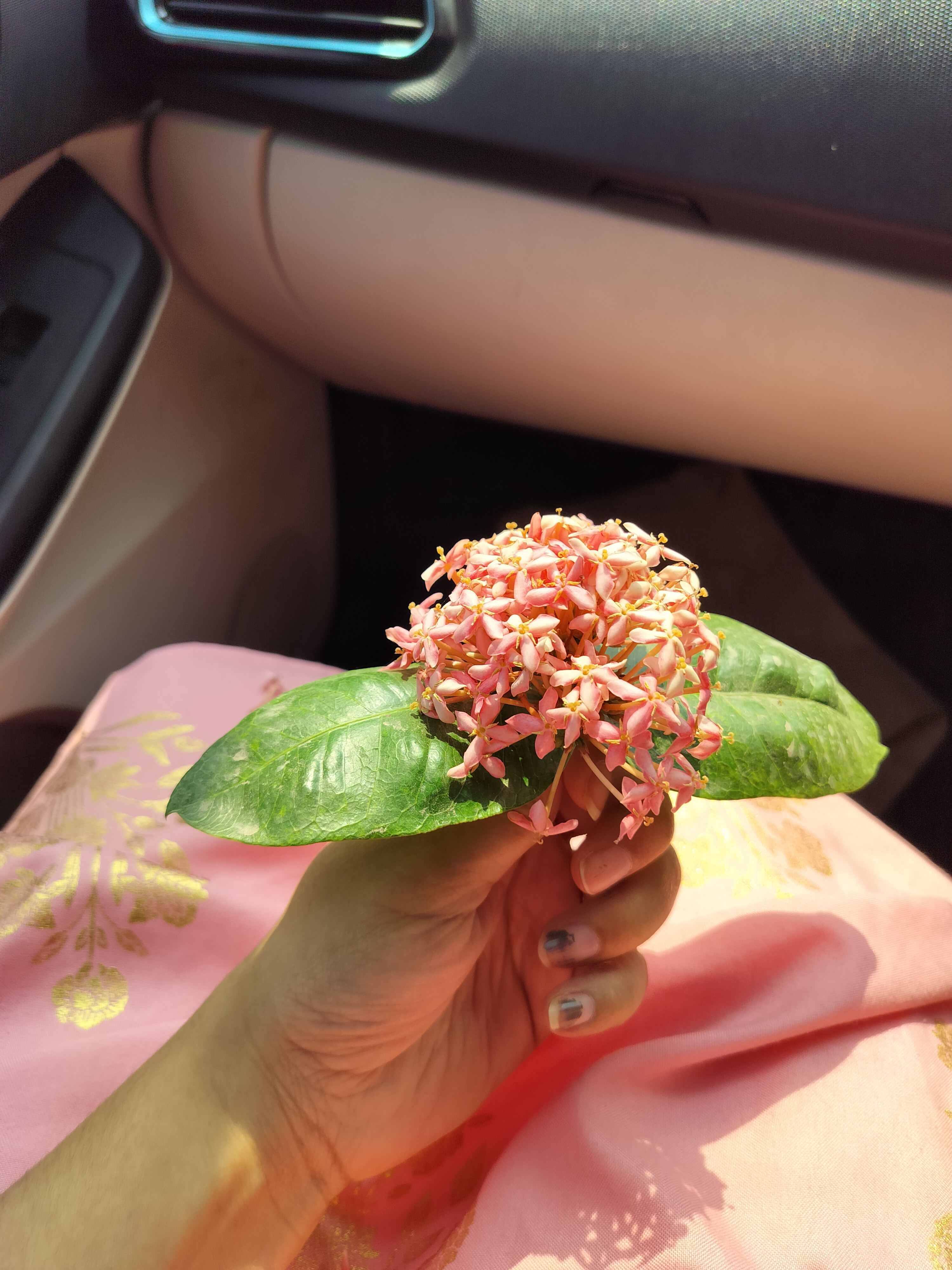 A hand holding a cluster of small pink flowers arranged on a green leaf, with sunlight illuminating inside a car.