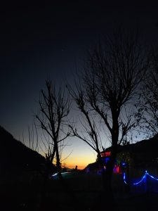Silhouettes of leafless trees stand against a twilight sky transitioning from deep blue to golden yellow, with a brightly lit building and colorful lights visible in the background.
