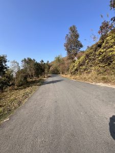 A paved road leading through a rural landscape with trees and bushes on either side, under a clear blue sky.