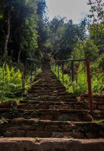 stone paved stairs
