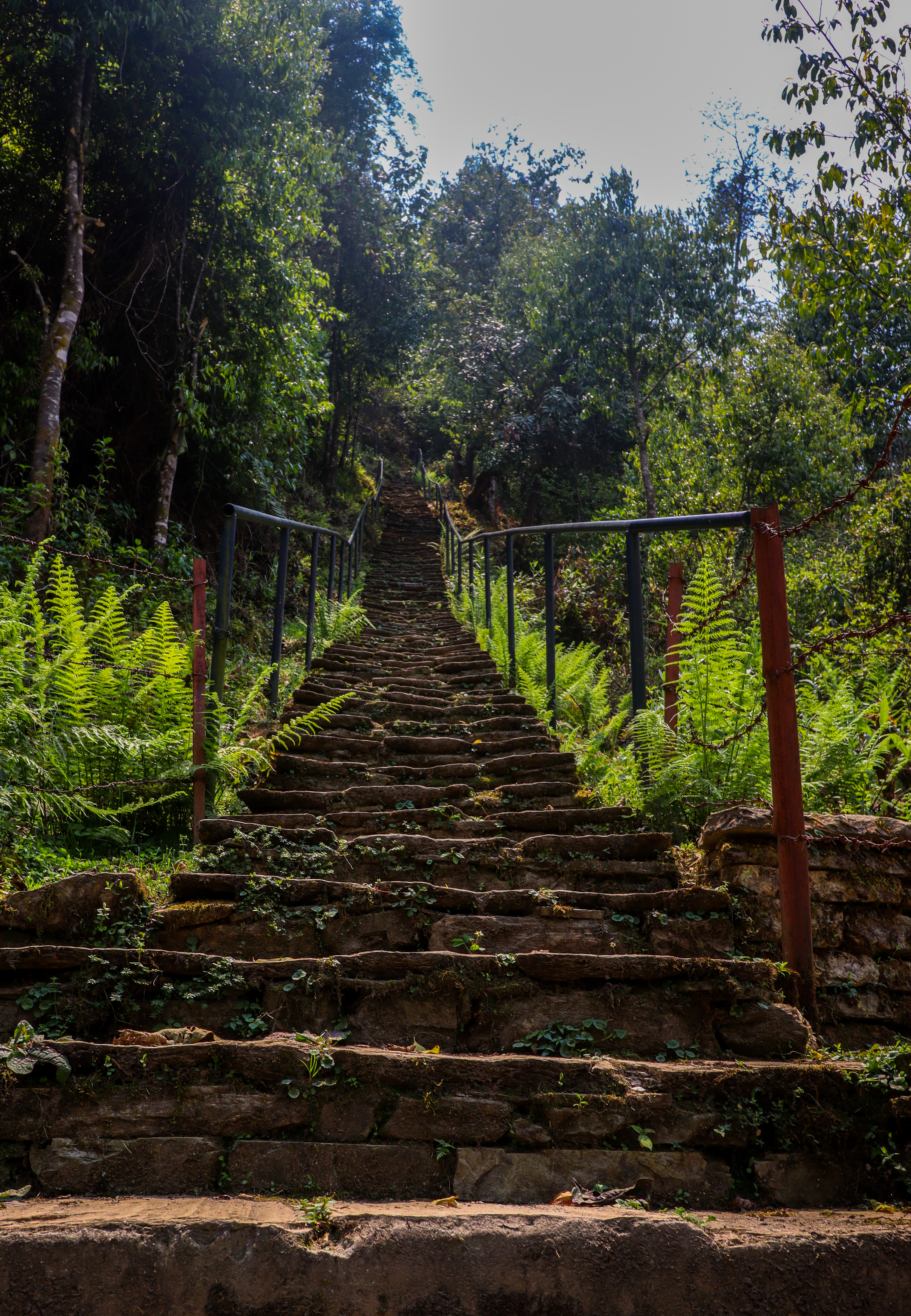 stone paved stairs