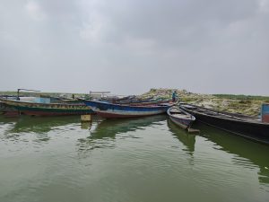Several wooden fishing boats are moored on calm greenish water near a rocky, grassy shoreline under a cloudy sky. A person stands on one of the boats near the shore.
