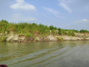Riverbank with green vegetation and some exposed soil, under a partly cloudy blue sky.
