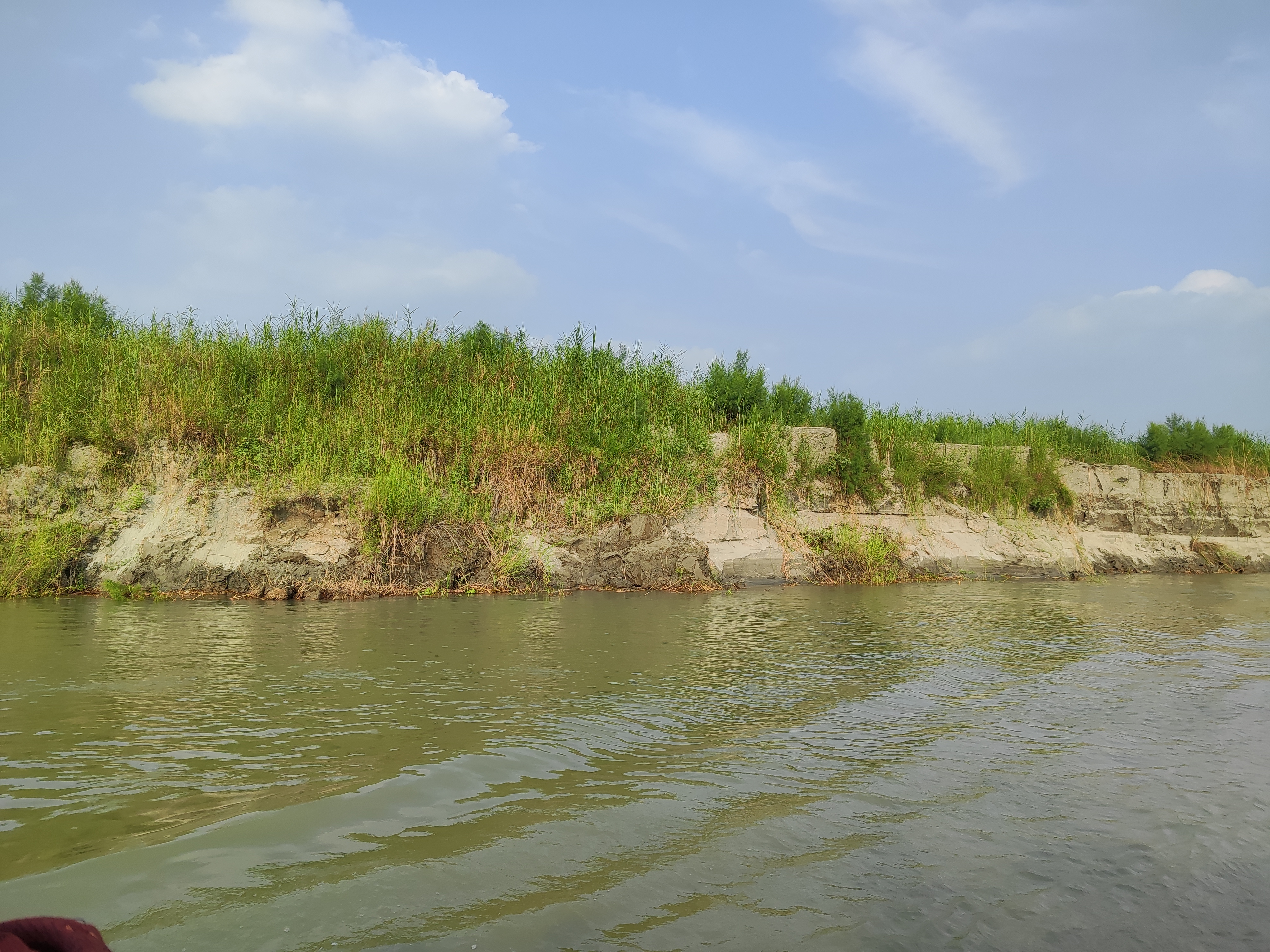 Riverbank with green vegetation and some exposed soil, under a partly cloudy blue sky.
