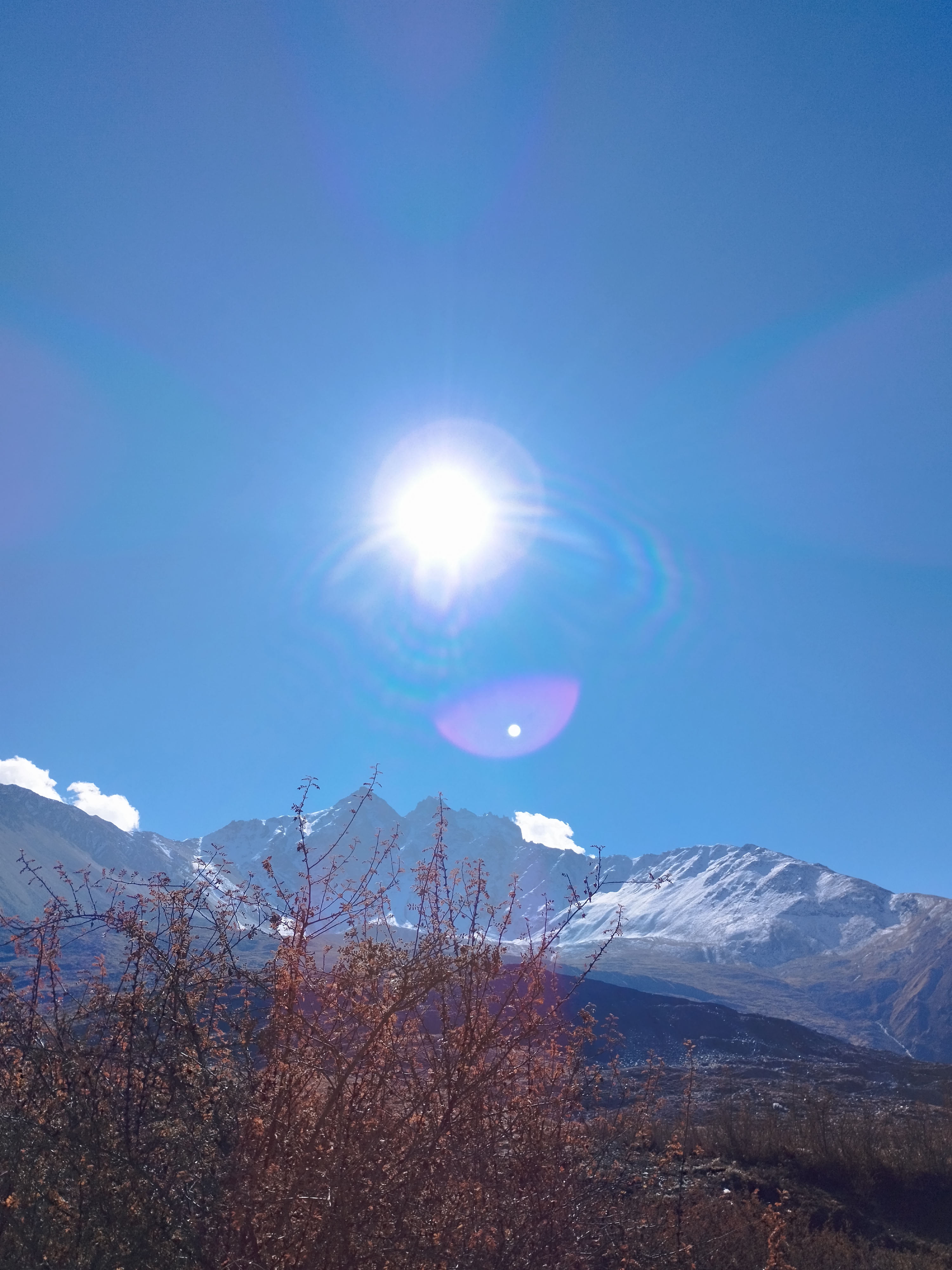 A bright sun shines in a clear blue sky above snow-capped mountains. In the foreground, bare branches and shrubs are visible, with the sunlight casting a vibrant lens flare effect.