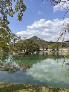A serene landscape featuring a clear, tranquil pond reflecting the sky with fluffy clouds.