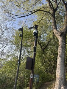A surveillance camera mounted on a tall pole, surrounded by lush green trees and foliage.