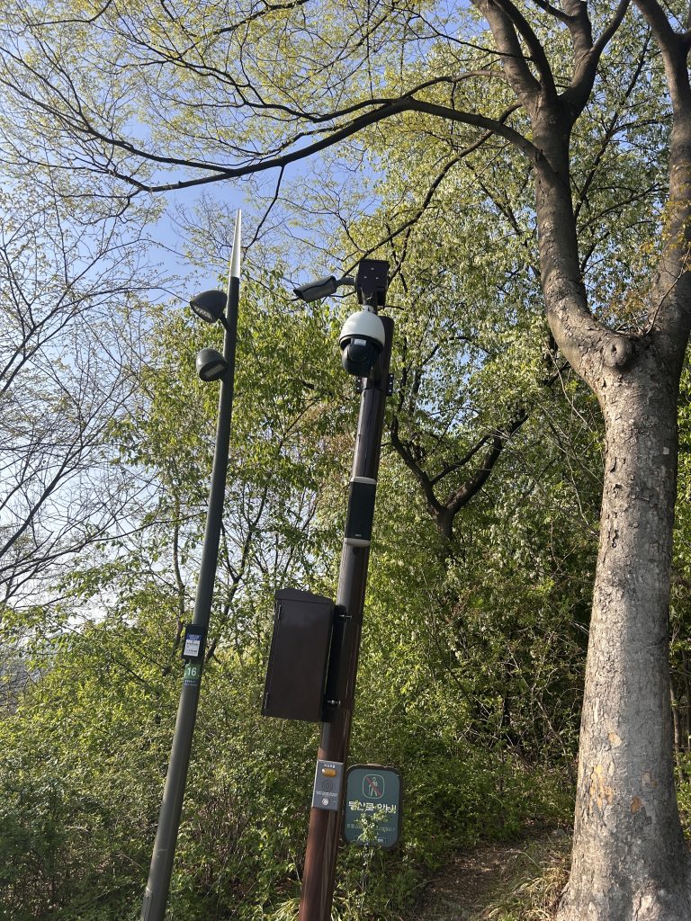 A surveillance camera mounted on a tall pole, surrounded by lush green trees and foliage.