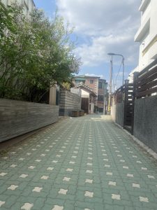 A narrow, cobblestone alleyway surrounded by greenery and residential buildings