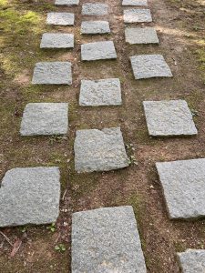 A pathway made of rectangular stone pavers set in dirt, surrounded by patches of green moss. The stones are arranged in an alternating pattern, with some partially covered by soil and small plants.