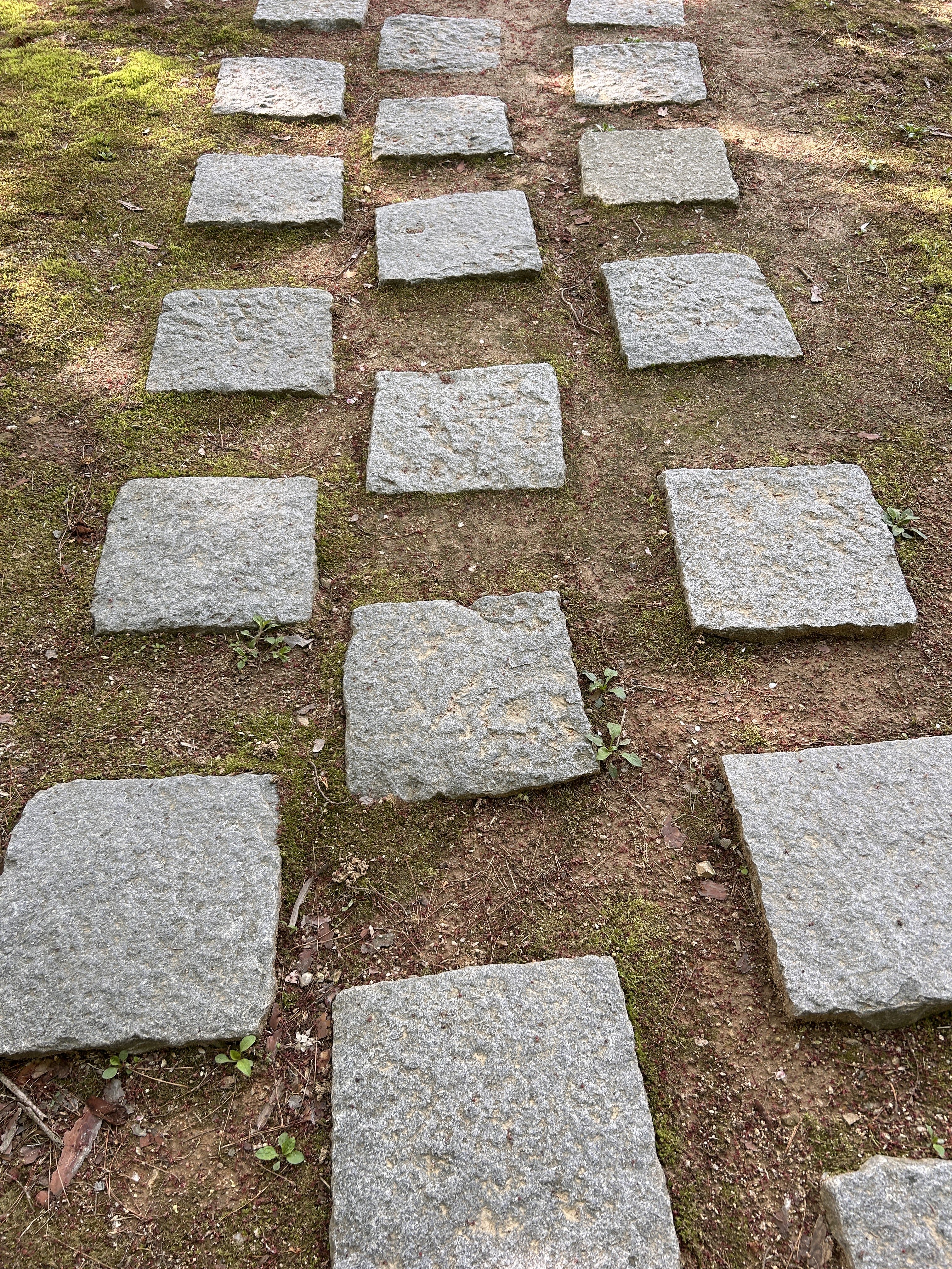 A pathway made of rectangular stone pavers set in dirt, surrounded by patches of green moss. The stones are arranged in an alternating pattern, with some partially covered by soil and small plants.