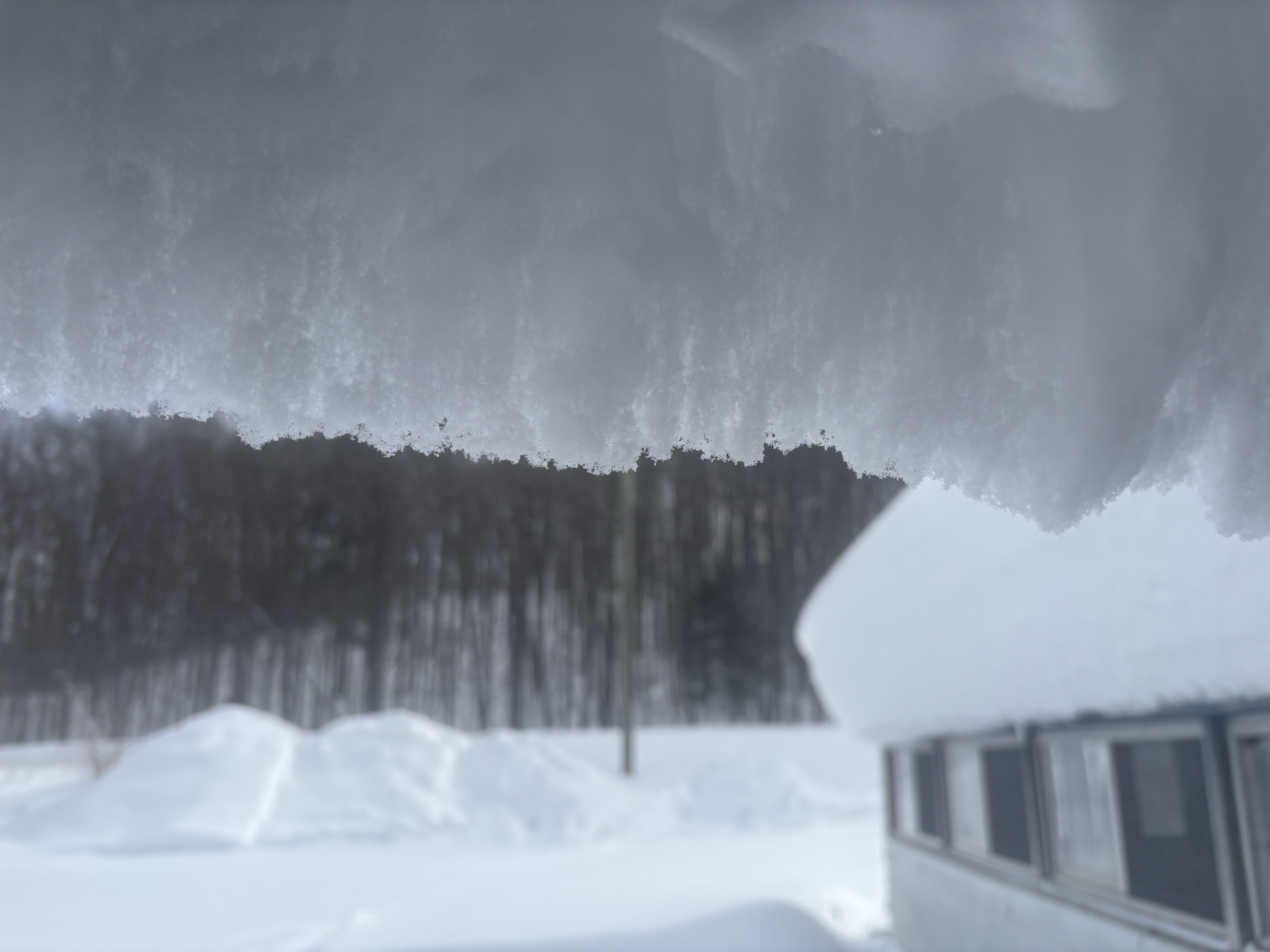 Closeup of snow hanging from a roof, a snow covered yard in the background.