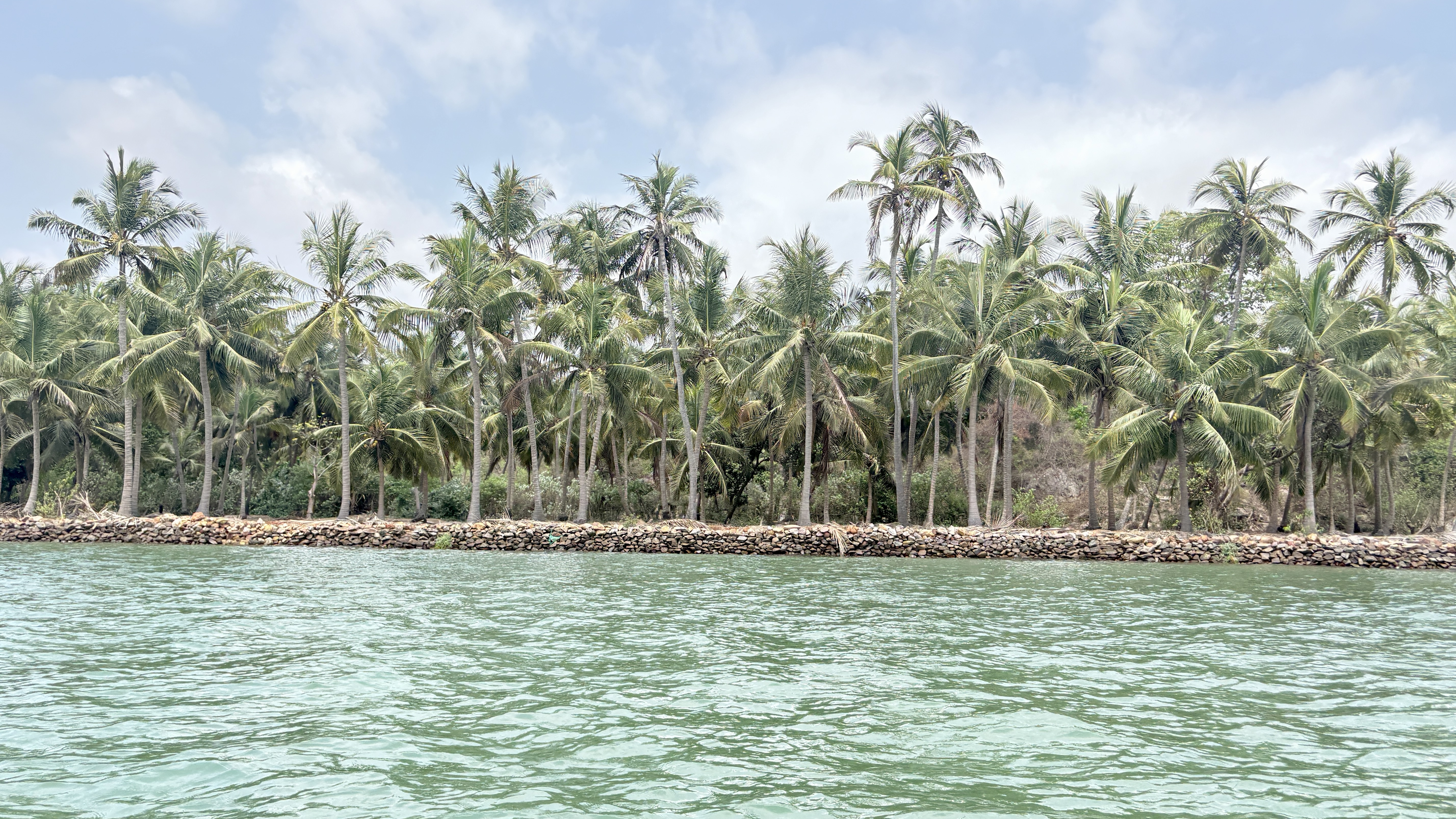 Scenic view of a shoreline lined with tall coconut palm trees behind a rocky barrier, with calm green water in the foreground under a partly cloudy sky.
