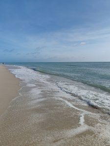 

A serene miami beach scene with gentle waves washing onto the sandy shore under a clear blue sky. A person is visible in the distance walking along the beach.