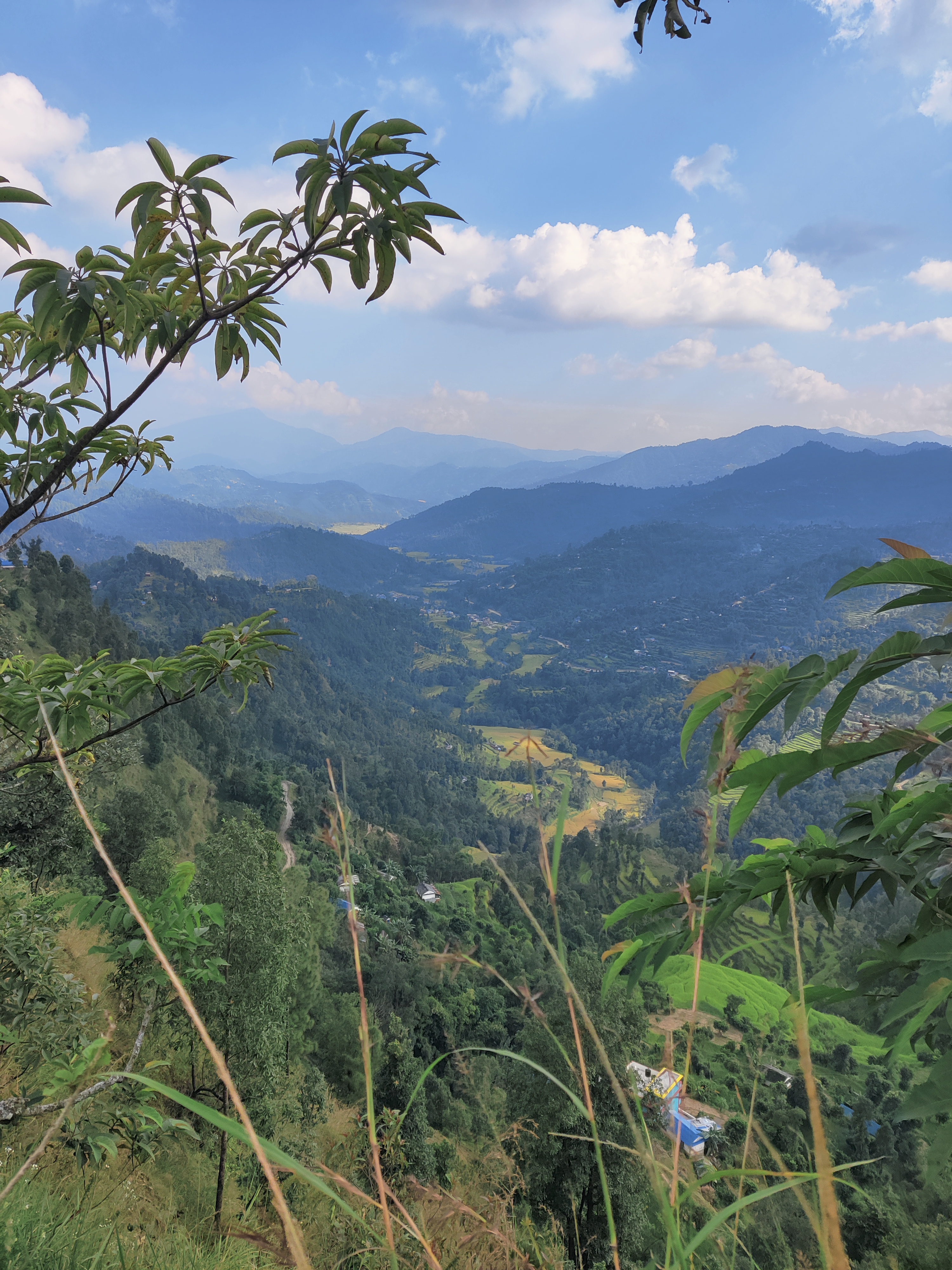 Rows of hills in Nepal. #WPNP2025