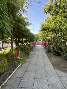 A stone pathway bordered by lush green trees and bushes, leading to a red bridge in a serene garden setting.
