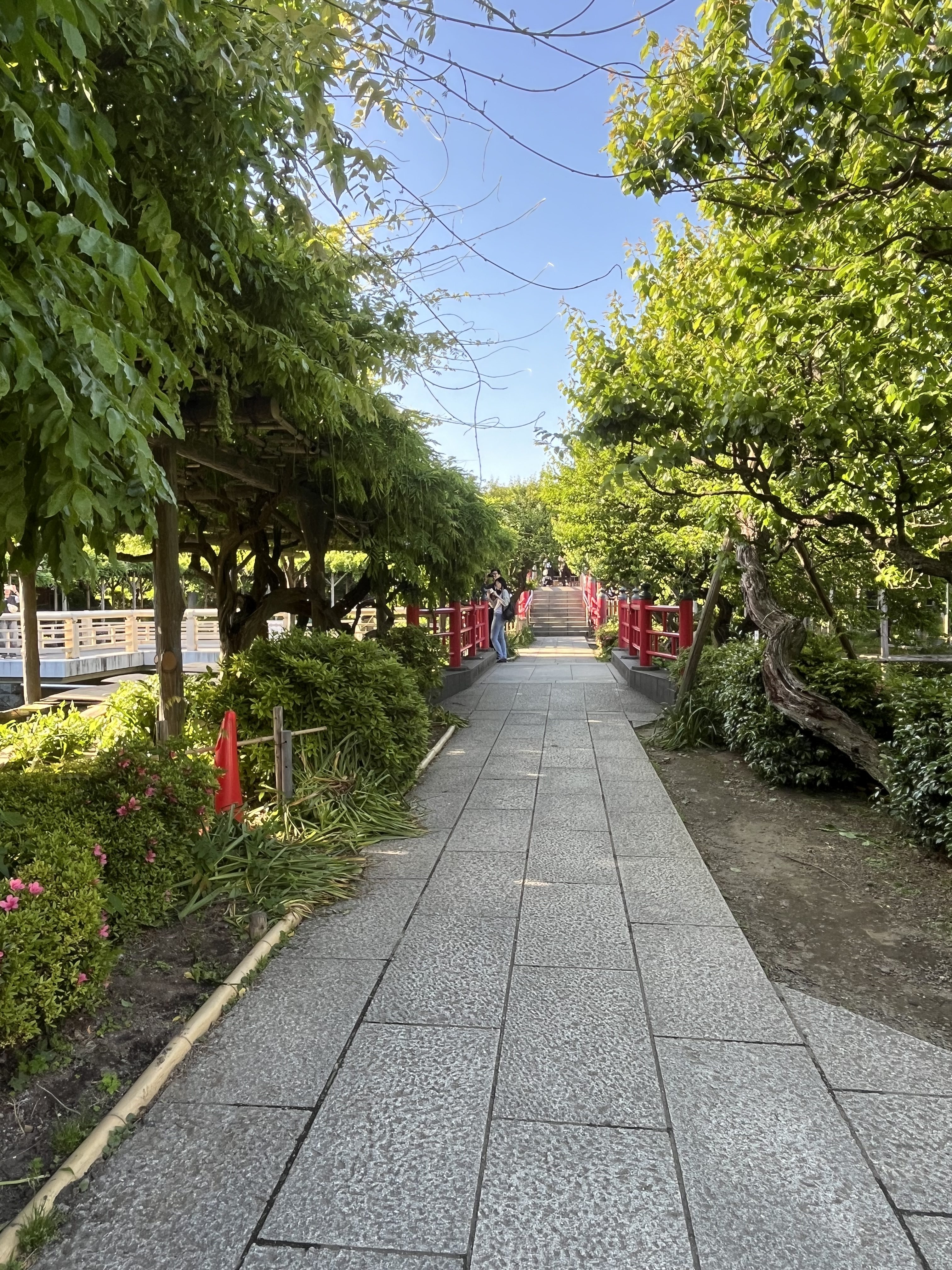 A stone pathway bordered by lush green trees and bushes, leading to a red bridge in a serene garden setting.