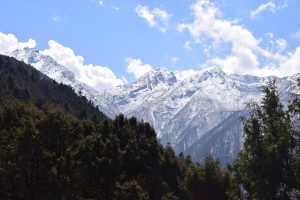 Snow-covered mountain peaks rise against a bright blue sky with scattered clouds, framed by dense green pine forests in the foreground.