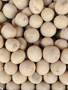 A close-up, overhead shot of a large pile of sapota fruits, also known as chikoo, arranged tightly together. The fruits are round or oval, with light brown, slightly rough skin, and they fill the entire frame, creating a textured pattern. Spotted it at a market in Kozhikode, Kerala. 
