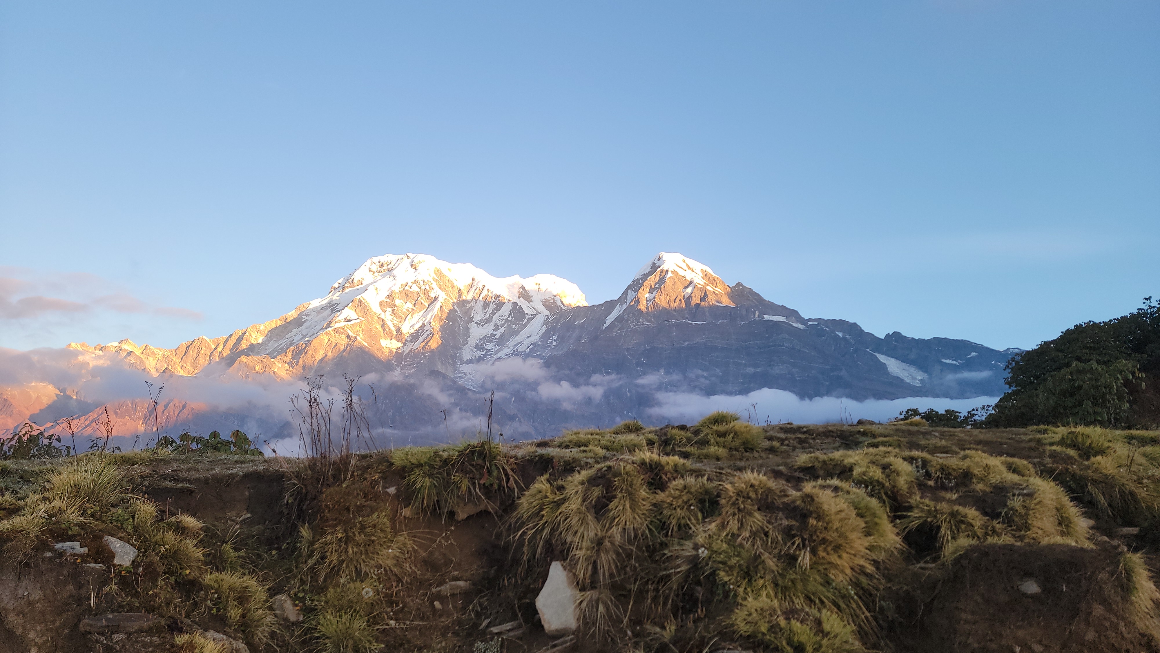 Snow-capped mountains illuminated by sunlight, with patches of grass and shrubs in the foreground under a clear blue sky.