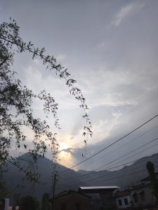 A scenic view featuring a silhouetted bamboo branch in the foreground, arching gracefully towards the sky. 