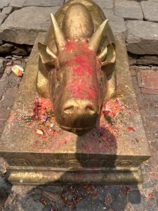 A close-up view of a gold-colored bull statue, adorned with bright red powder and floral offerings. The statue has prominent horns and a smooth surface, showing signs of wear. Surrounding the base are remnants of colorful petals, leaves, and other offerings scattered on the ground. The background features grey stone paving, suggesting an outdoor temple or shrine setting.